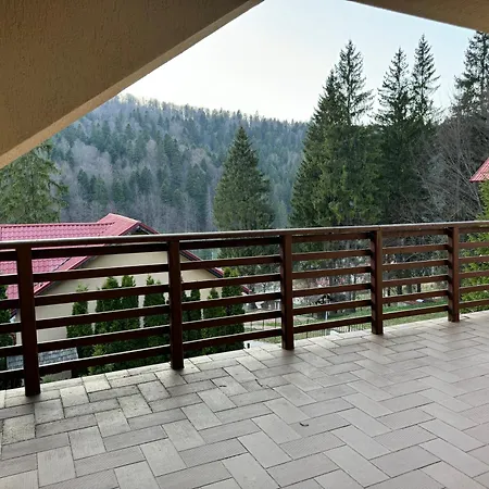 Villa Babylon Predeal